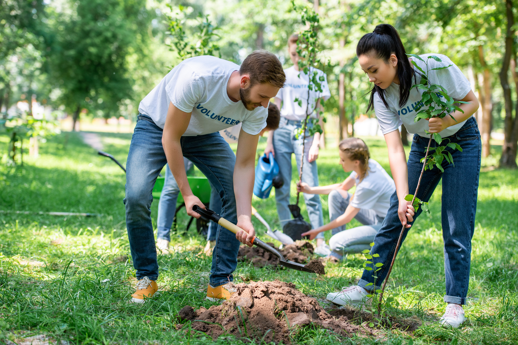 En grupp volontärer planterar träd tillsammans i en park.