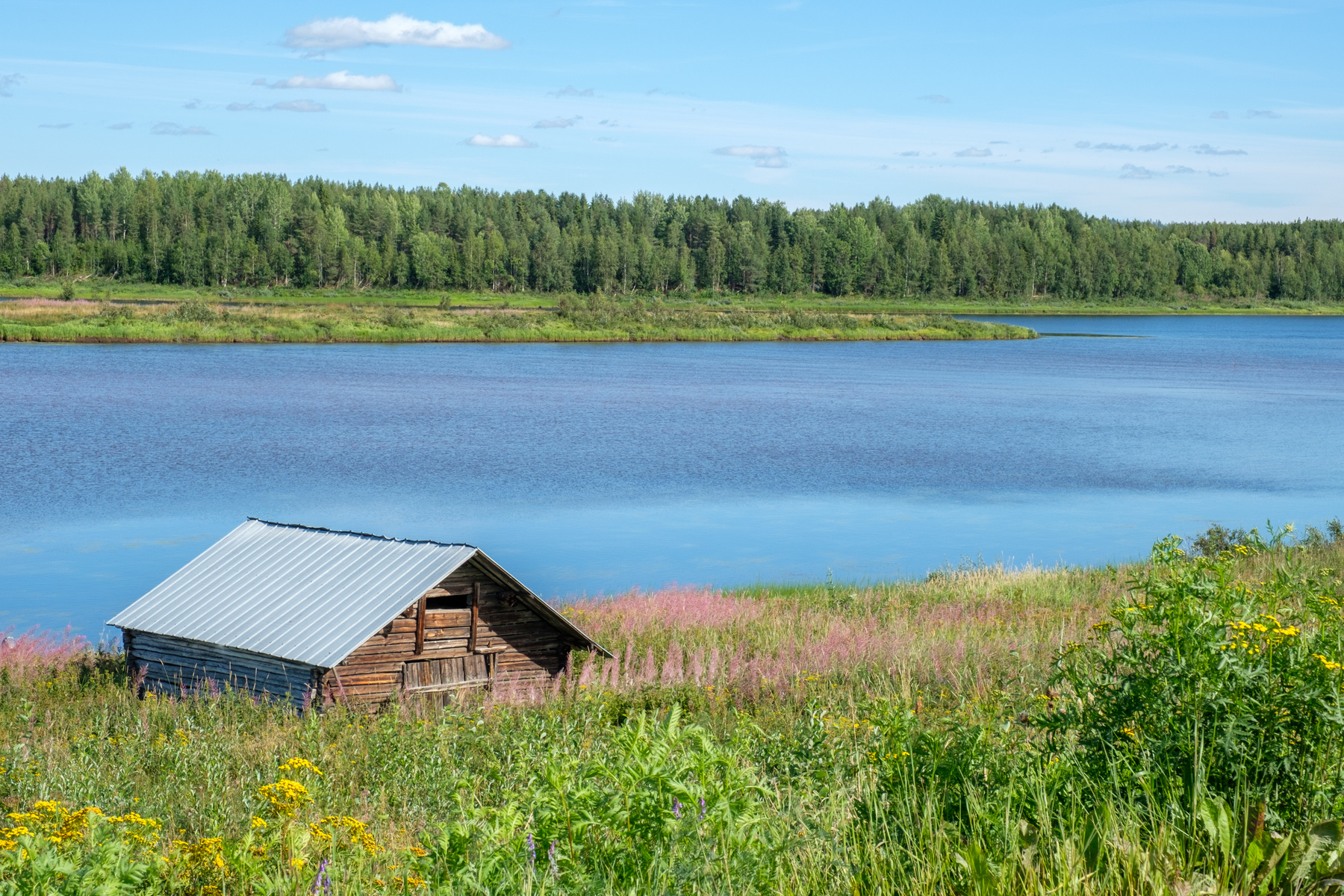 Vy av en älv och skog i Tonredalen. I förgrunden syns en liten stuga.
