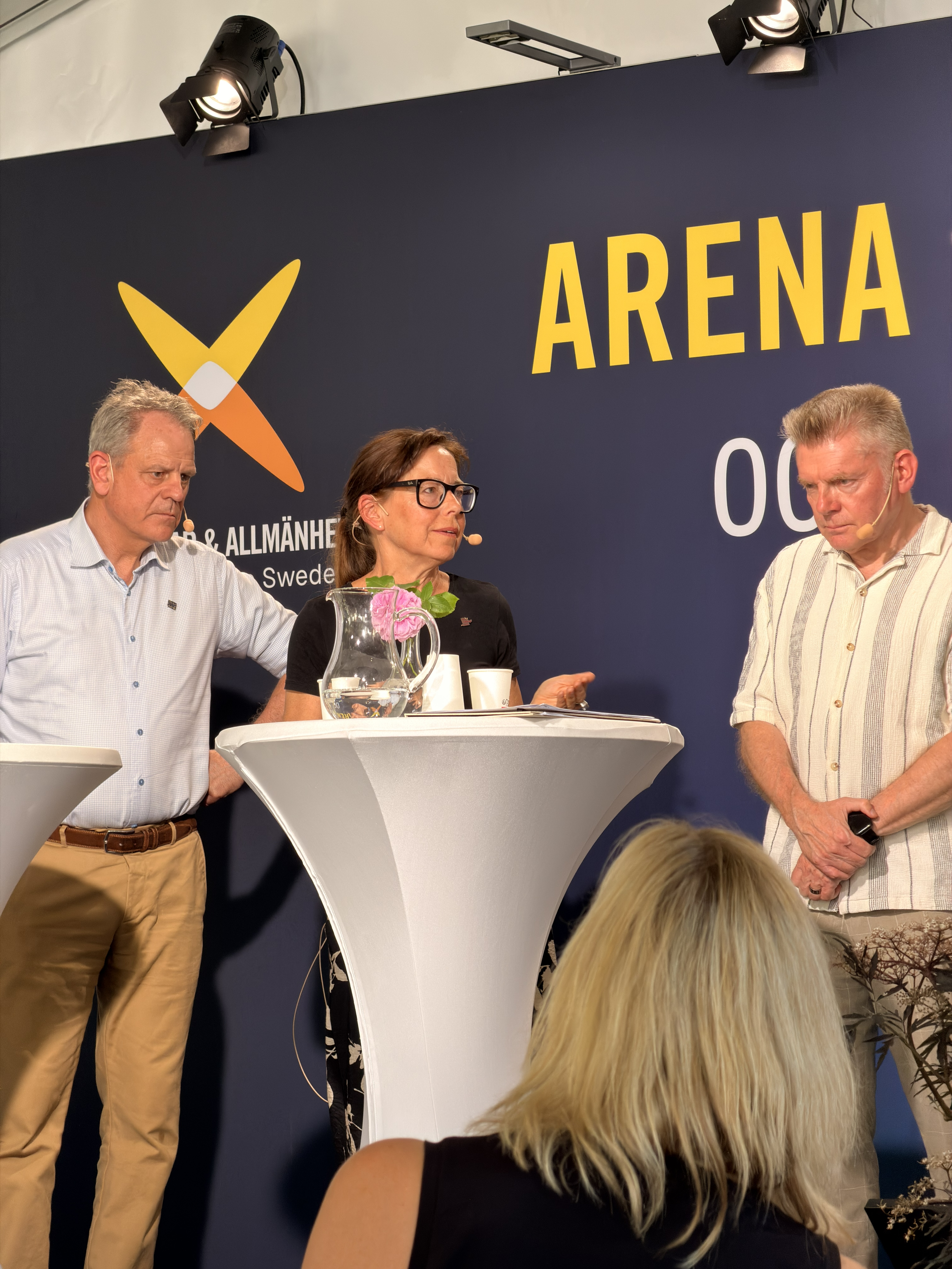Tre personer på scenen under ett panelsamtal i Almedalen. Anna-Karin Lindblom i mitten. 